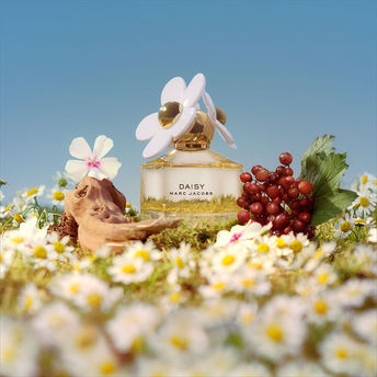 Daisy marc jacobs edt 100ml